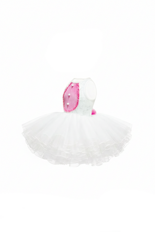 Ballerina Bunny Costume
