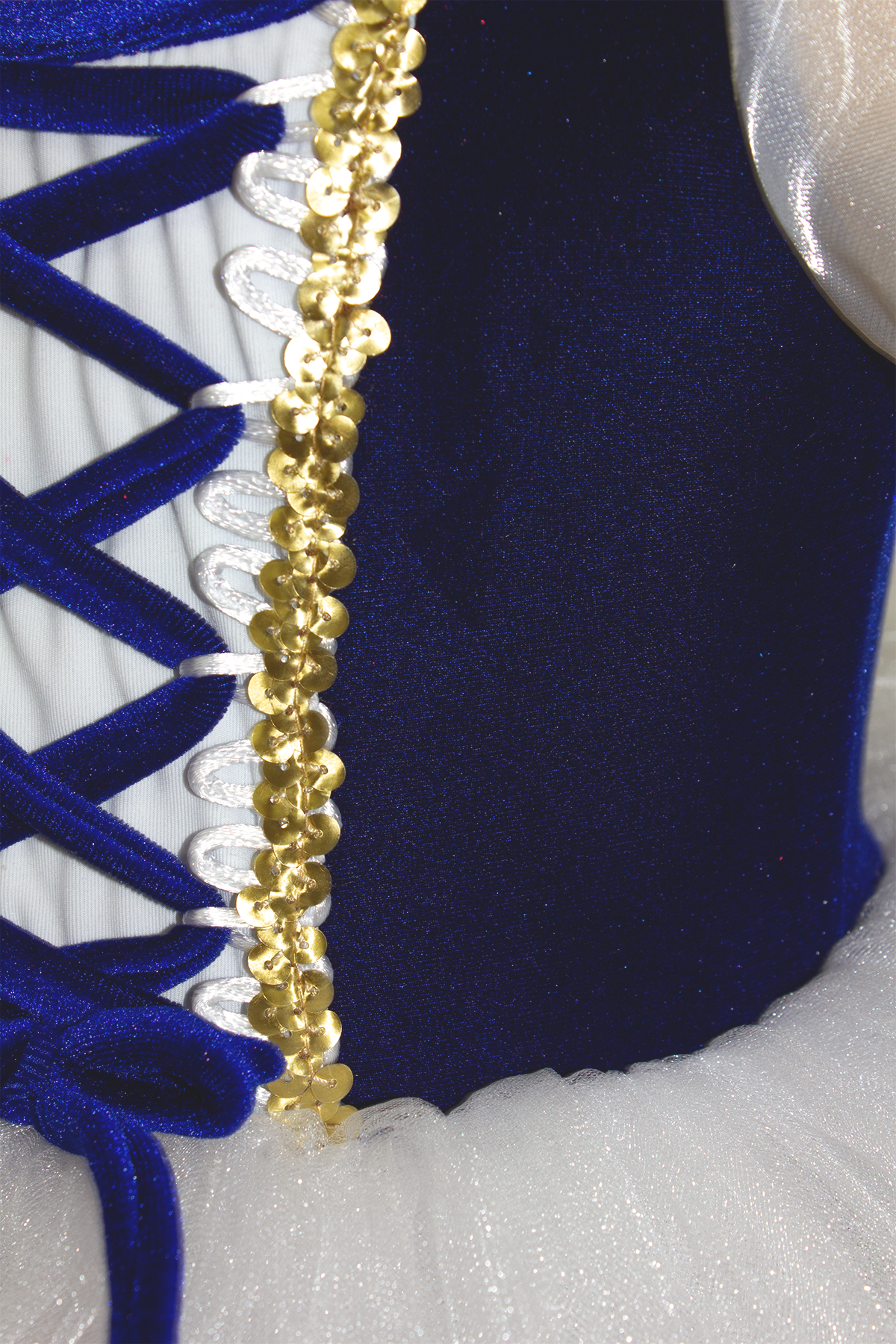 Royal Blue Ballerina Costume Dress